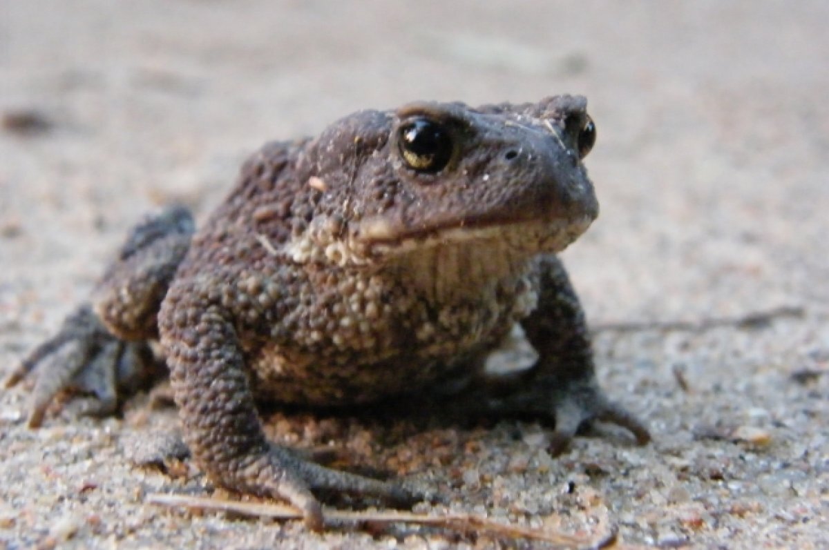 Заявил о росте средней зарплаты. 104 тысячи. 120 тысяч куда потратили выпуск. 120 тысяч куда потратили выпуск. На что потратить 1000.