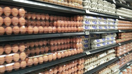    "Известия": импортные яйца не попали на полки торговых сетей в РФ Егор Ильяшов