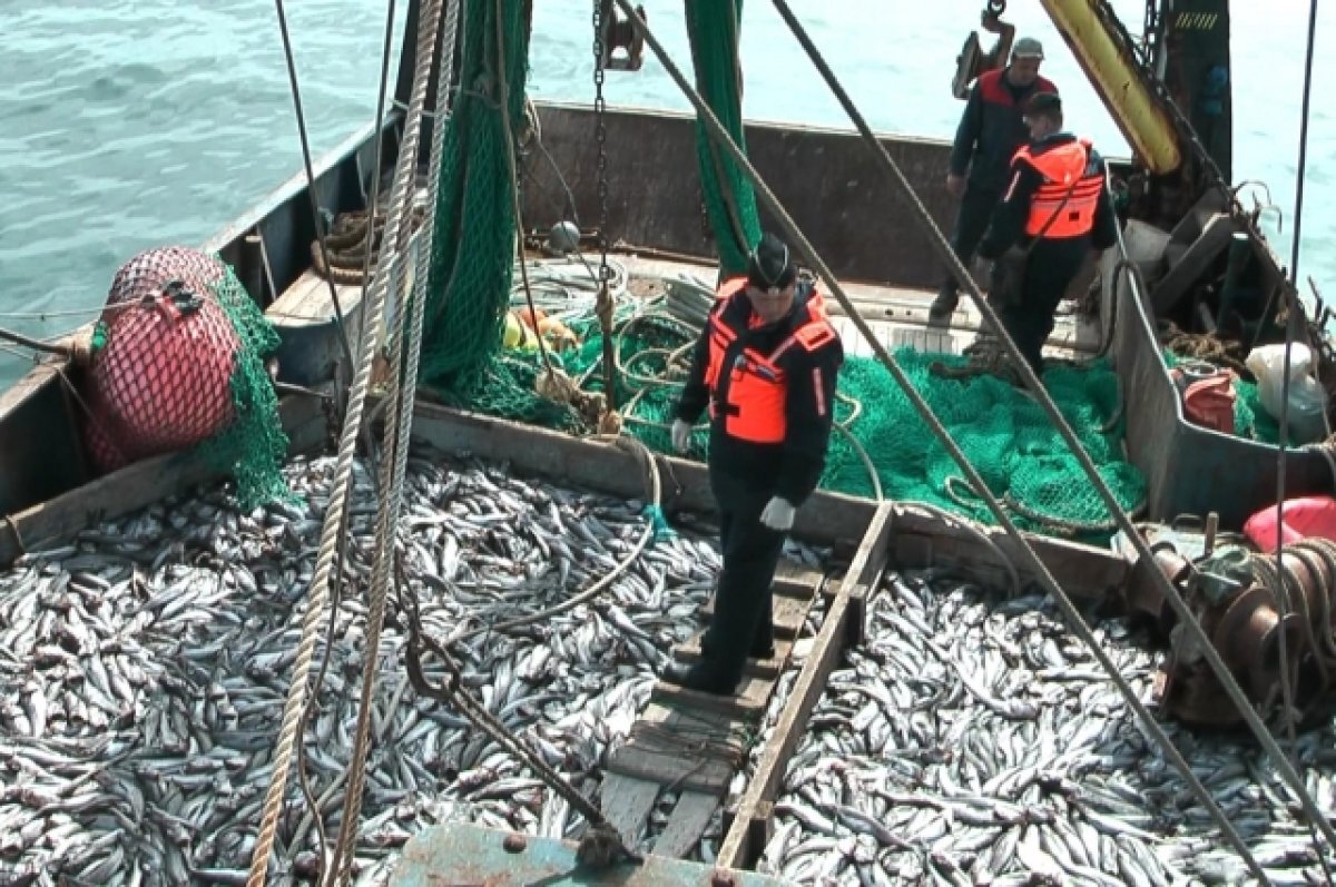    Первый Дальневосточный рыбопромышленный форум пройдёт в Приморье весной