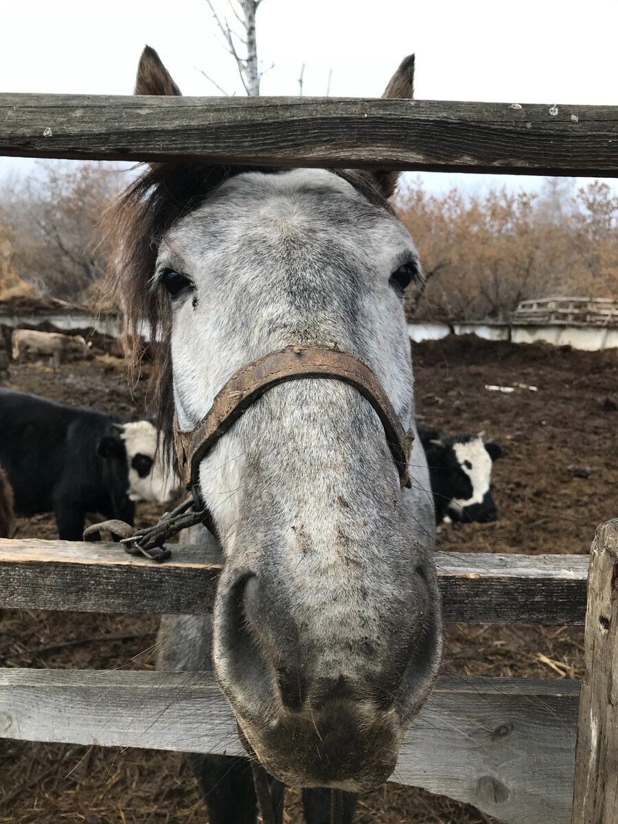 Фото для иллюстрации.