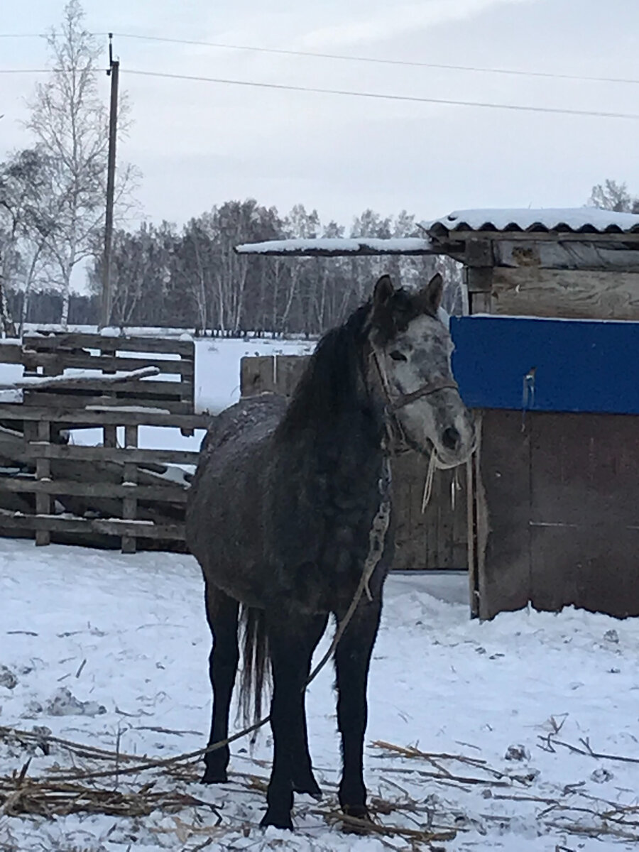 Фото для иллюстрации.
