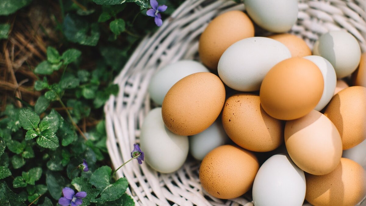    Куриные яйца© Фото : Unsplash/Cara Beth Buie