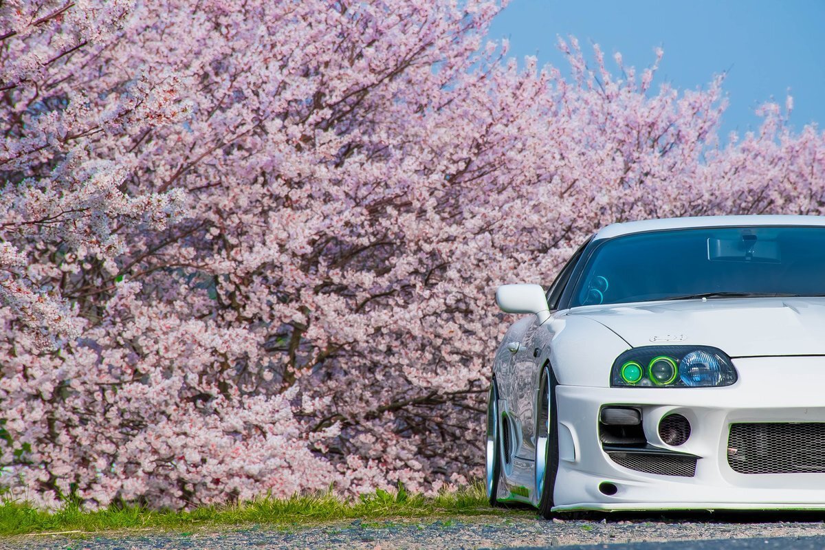 JDM Эстетика с девушкой