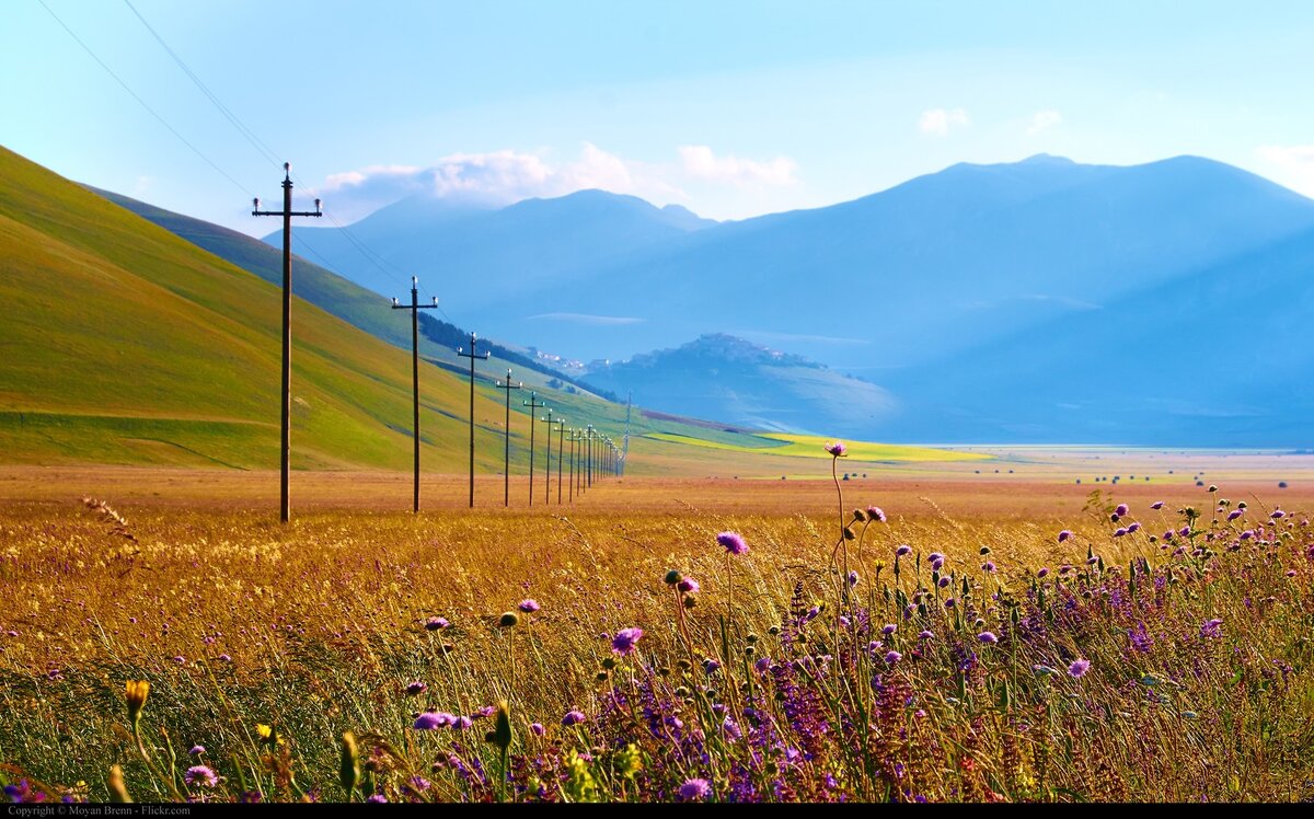 Взято из интернета