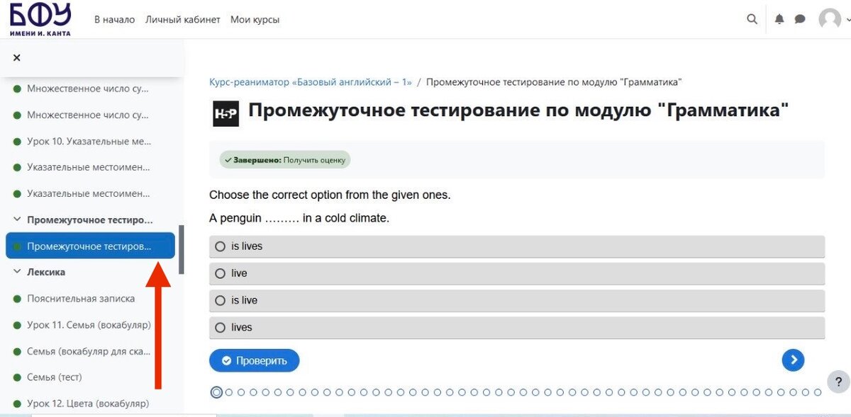 Тестировщик с нуля. It специалист. Портфолио тестировщика пример. Тестировщик по. Тестировщик после курсов.