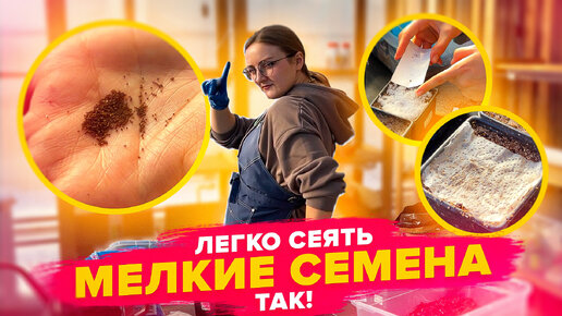 ТАК ЛЕГКО ПОСЕЯТЬ МЕЛКИЕ СЕМЕНА! Лобелия, петуния