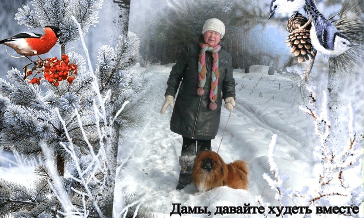 походка человека. стремительная походка. давай походка. человек идет ноги. походка невербальное общение.