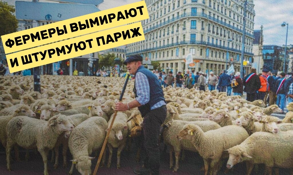 сколько зарабатывают франции