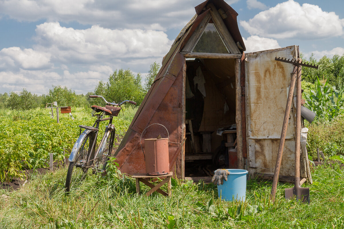 Фото: Ilya Galakhov/GlobalLookPress