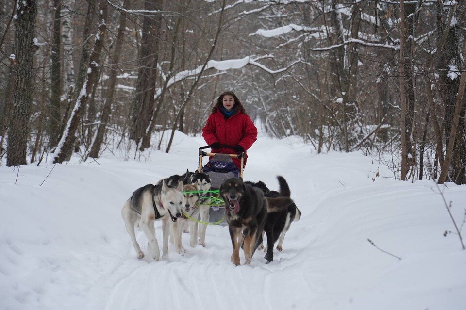 Ну погоди 2008. Ну погоди мультфильм волк и заяц. Летние коньки. Волк ну погоди коньки. Катание на санках с горки.