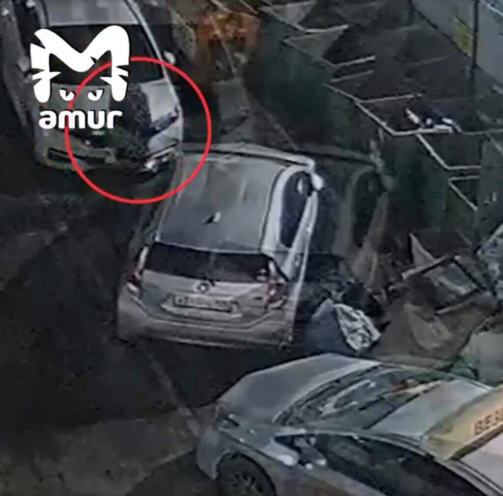 Exeshnick mark 2 благовещенск. Амуравтошоу в благовещенске. Амур китайская машина. Tc amur авто. Амур авто владивосток.