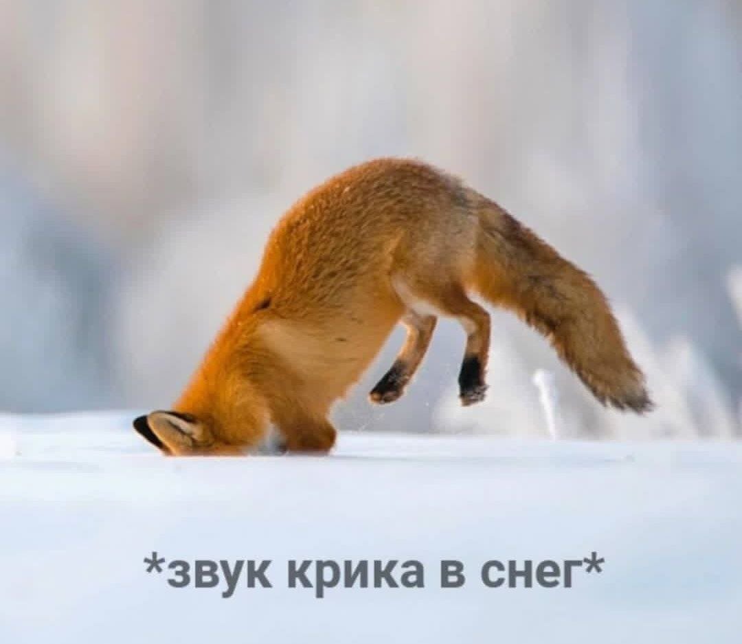 Правила как ходить в гости. Правила этикета конспект. Интересное приглашение в гости. Правила поведения в гостях для детей. Гостинцы подарки.