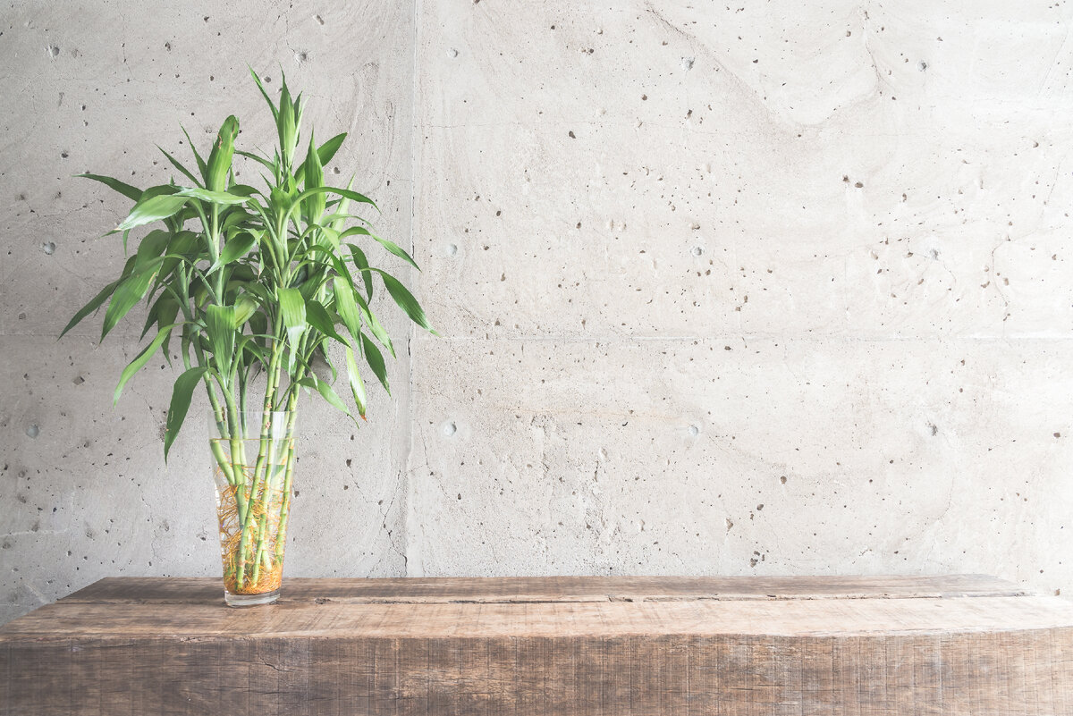 "Бамбук" в интерьере