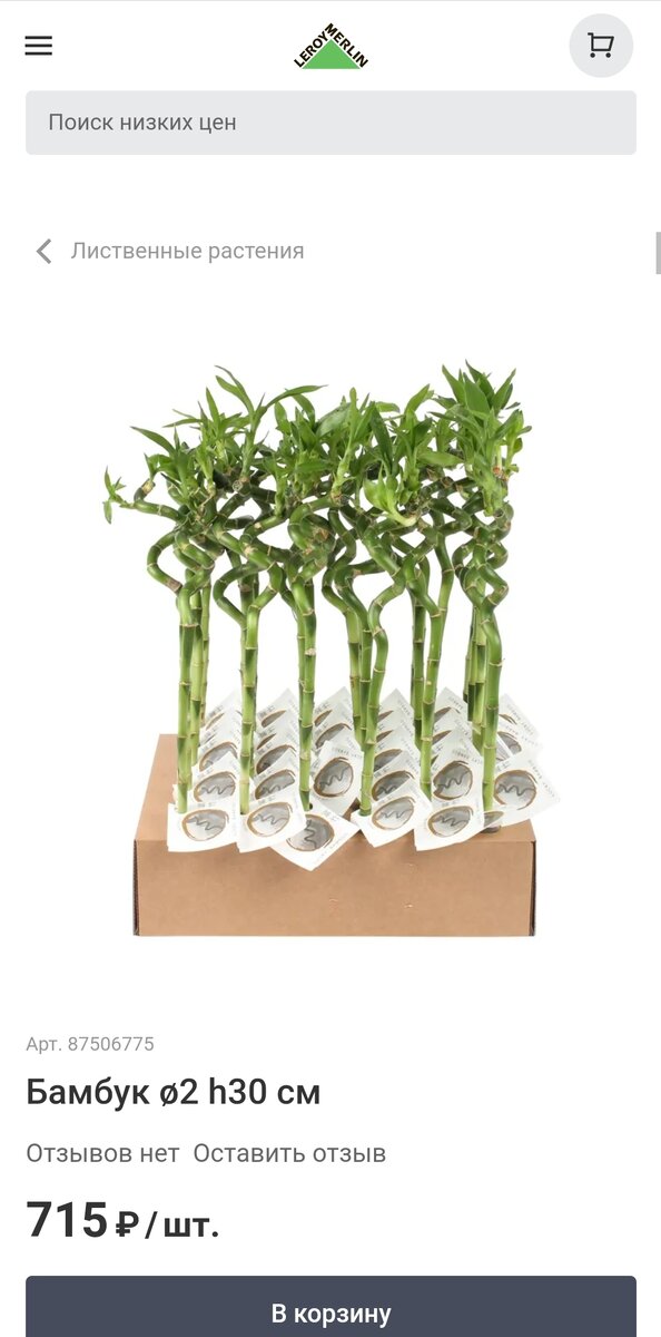 "Бамбук", Леруа Мерлен