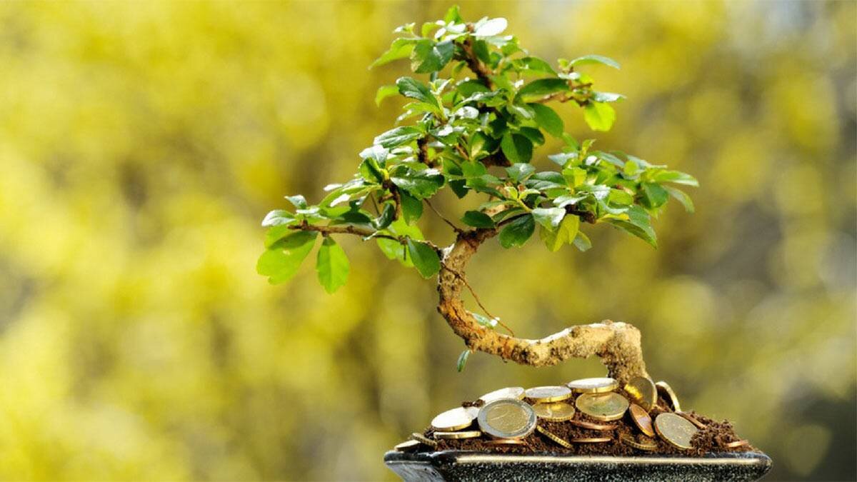 Как рассчитать число матрицы. Код богатства нумерология. Цвет по дате рождения. Самое удачное число. Рассчитать удачу.