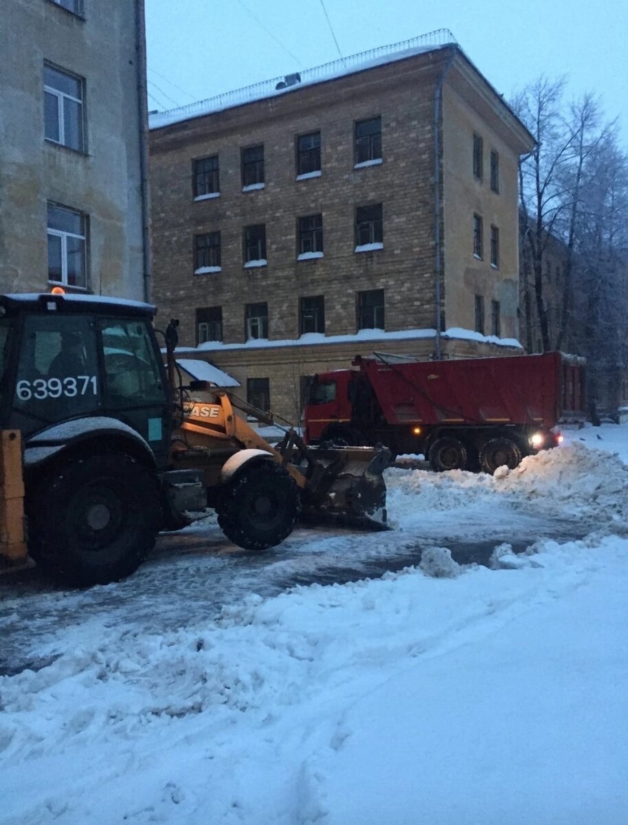 Председатель совета дома в Петрозаводске рассказала, как сделать двор  чистым | Столица на Онего - новости Петрозаводска и Карелии | Дзен