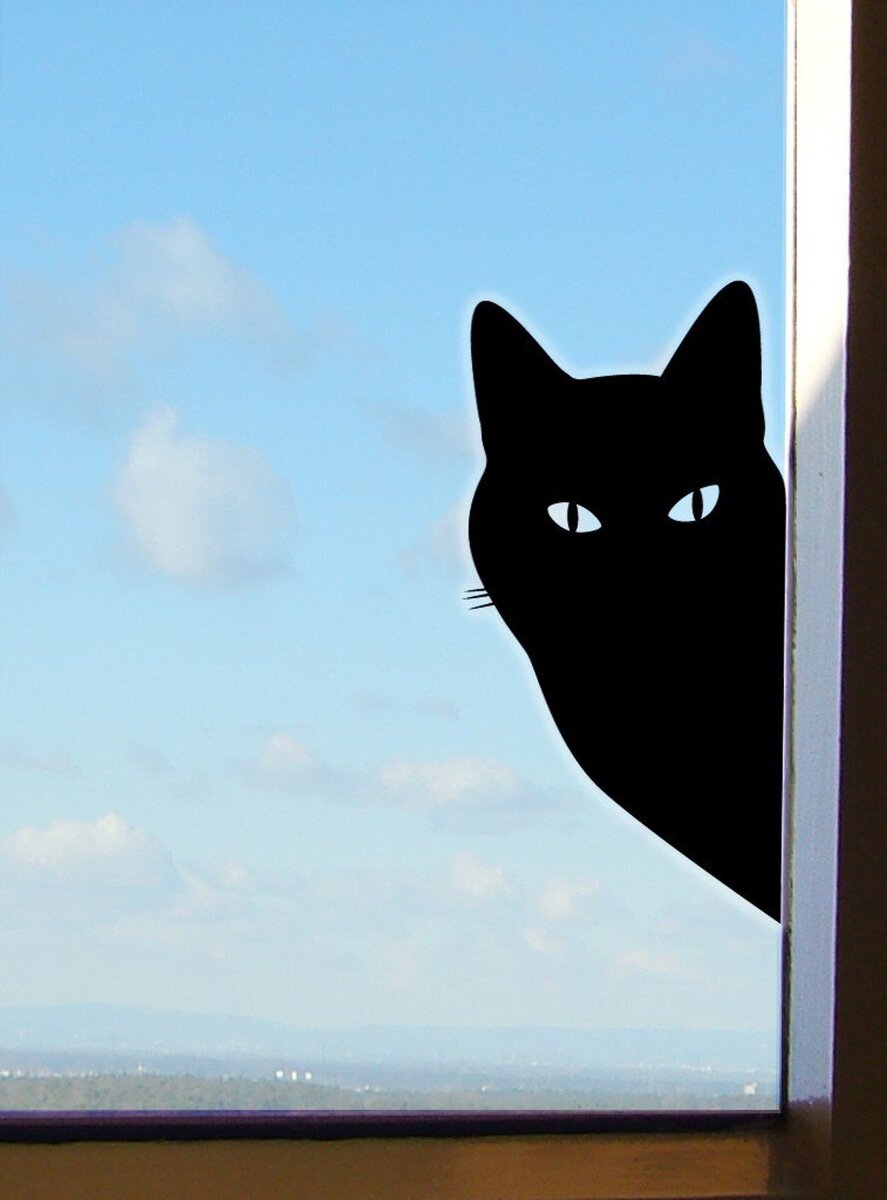 Разговор оборвался и подполковник выглянул в окно. Кот выглядывает из окна. Кошка на окне. Выглядывает из окна. Черный кот на окне.