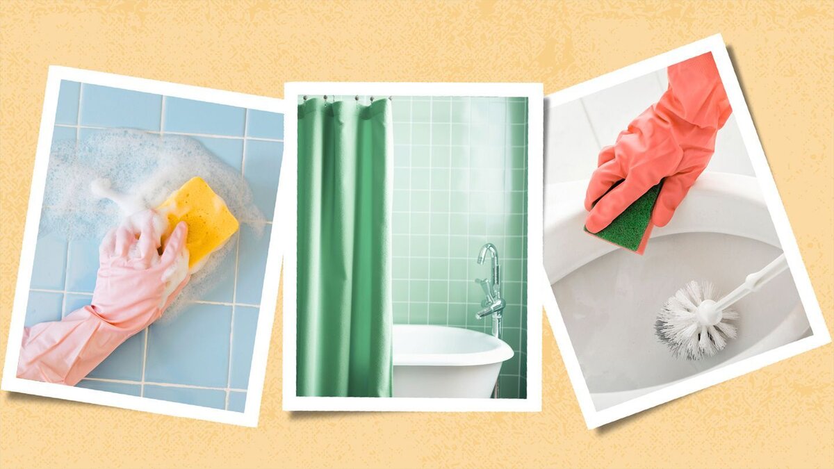    iStock (2); Adobe Stock