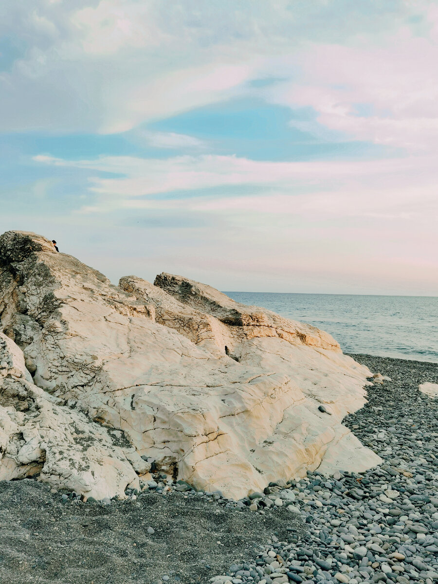 берег черного моря. берег баренцева моря. жители побережья моря. черноморский каменный краб. жители побережья моря.