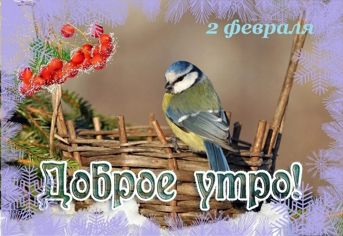 картинка доброго февраля. доброго февральского дня. открытки с 1 февраля. картинка доброго февраля. доброго февральского дня.