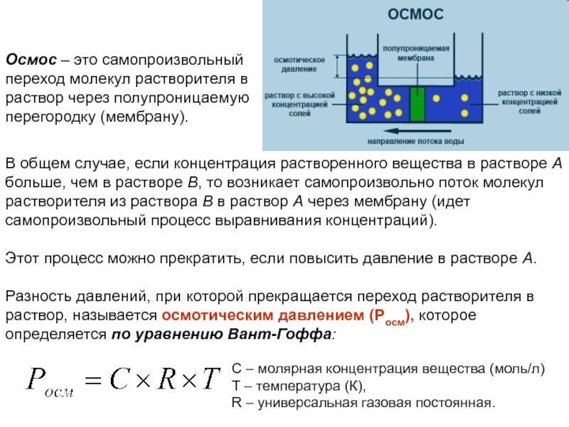 Их основной выбор систему