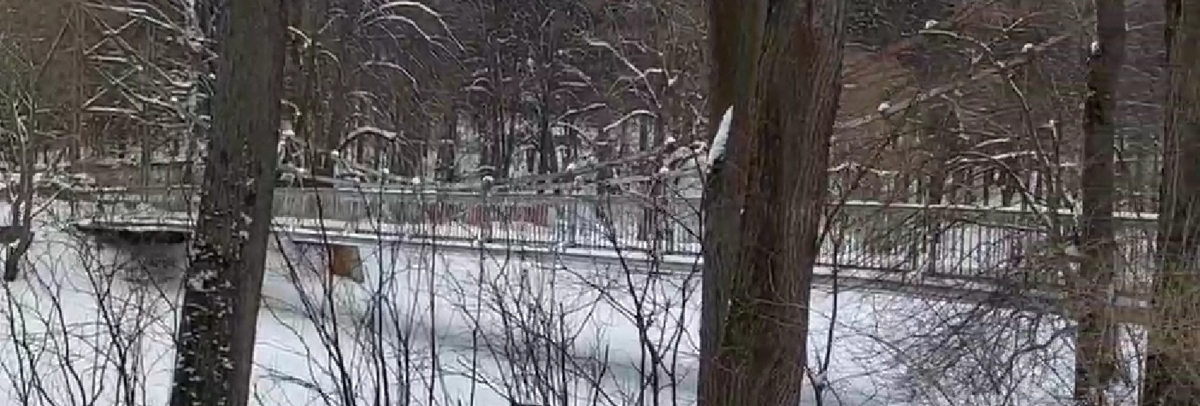 Северный вантовый мост вид с боку 