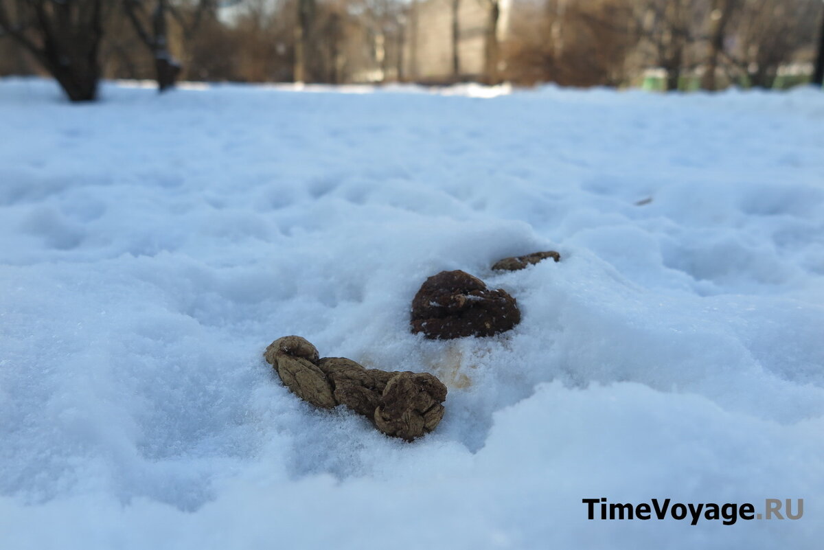 Больно да. Казино юмор. Ты случайно не подкаты. Готов вкалывать мем. Зачем в холодильнике лампочка если ночью есть нельзя.