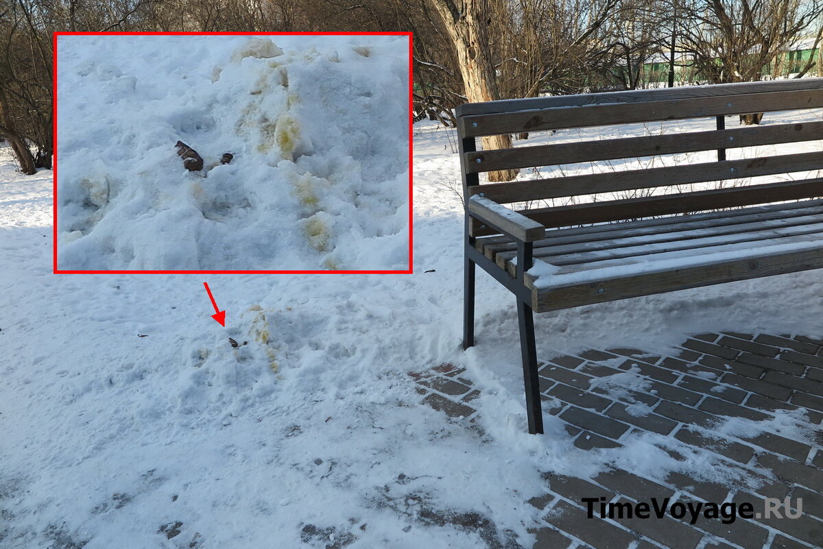 1 рупий. Монета 10 пенни 1915 k235501. 1892 год 1 цент. Медаль французское конное общество 1876г. Refurbished penny.