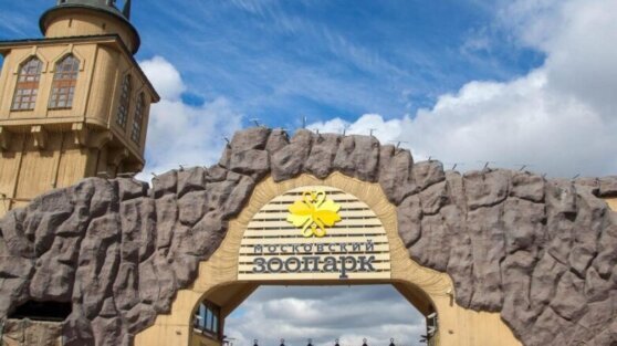    В Московском зоопарке, усадьбе Деда Мороза и на ВДНХ подготовили программу к Китайскому Новому году Ирина Петрова