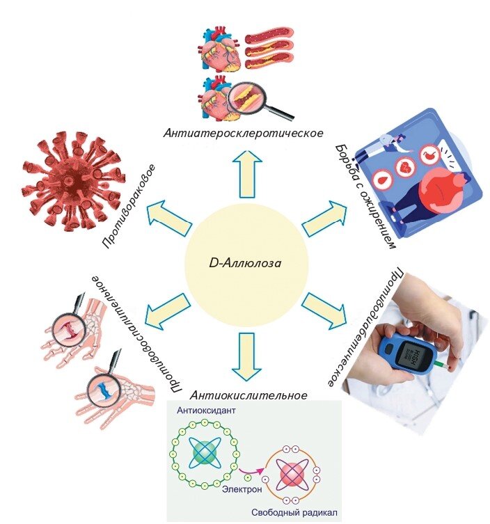 Действия аллюлозы