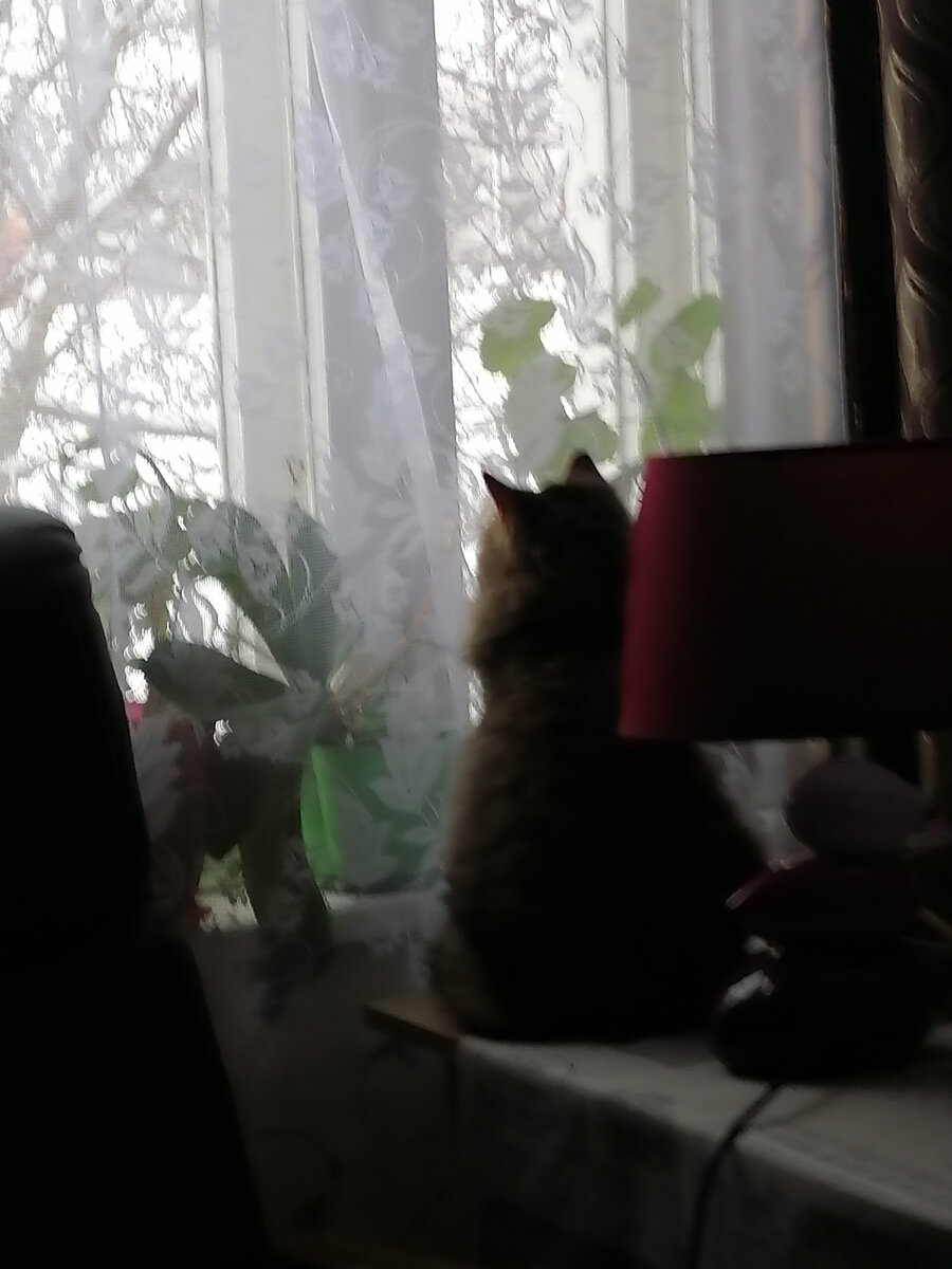 Перейти поле минус. Жизнь прожить не поле перейти. Поле русское поле стих. Жизнь прожить не поле перейти. Жизнь пройти не поле перейти.