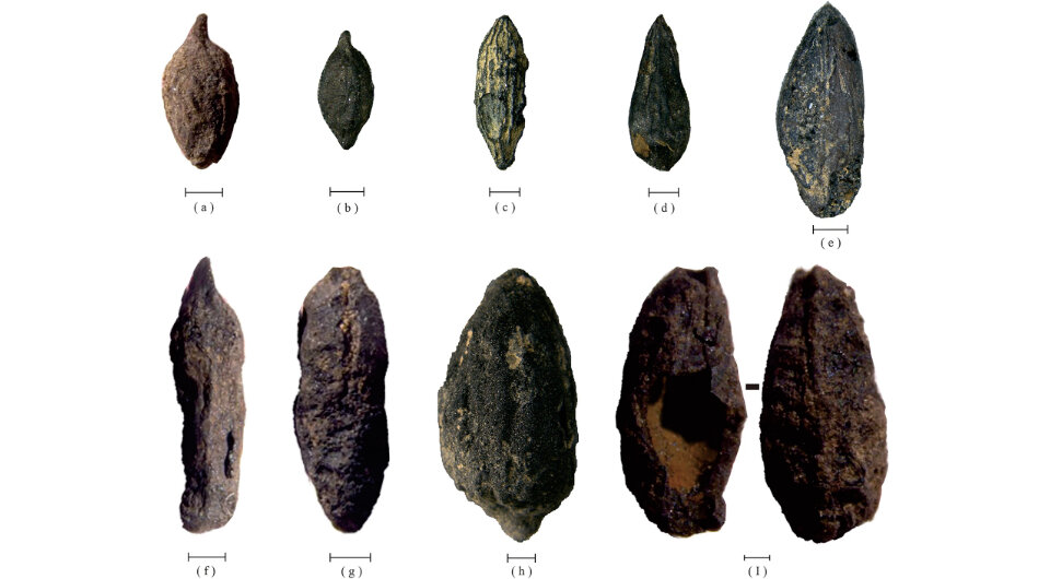   Yanpeng Li et al. / Scientific Reports, 2024