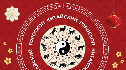 2024 прогноз астрологов. Смотреть прогноз астролога из передачи доброе утро 10 декабря 2023 года. 2024 прогноз астрологов. Визитка астролога. Ольга осипова астролог.