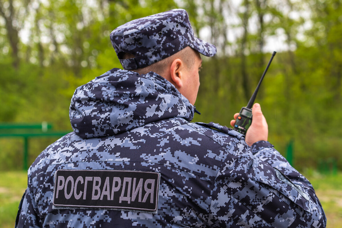 В Усть-Лабинске росгвардейцы задержали мужчину, проникшего в чужой дом |  Росгвардия. Краснодарский край | Дзен