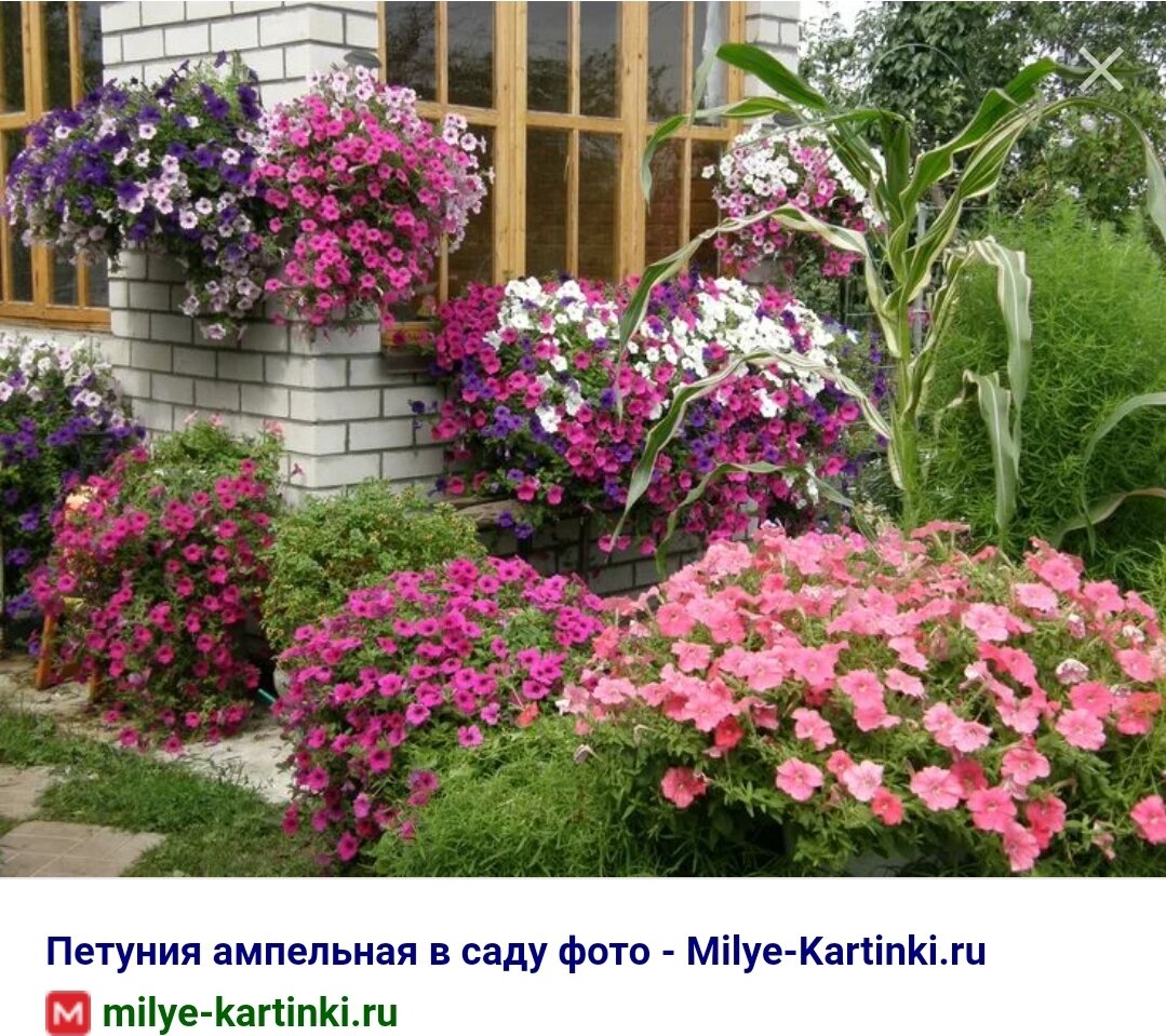 Составление диалогов по рисункам. Рассмотри рисунок. Как сделать рассмотри. Рассмотри рисунки и напиши что перепутал художник в одежде боярина. Рассмотрите рисунок строение почки и побега.