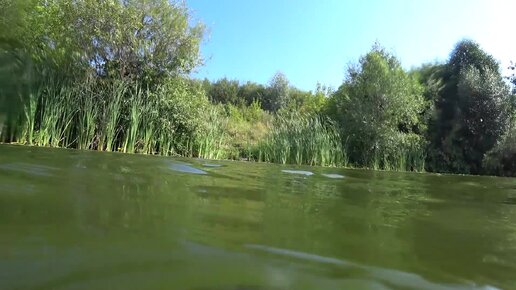 Пляж Ширяйково Кокшага. Июль. Над водой и под водой.