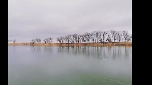 27 01 2024 г. Озеро, лебедь и прогулка. п. Целинный, Славянского р-на