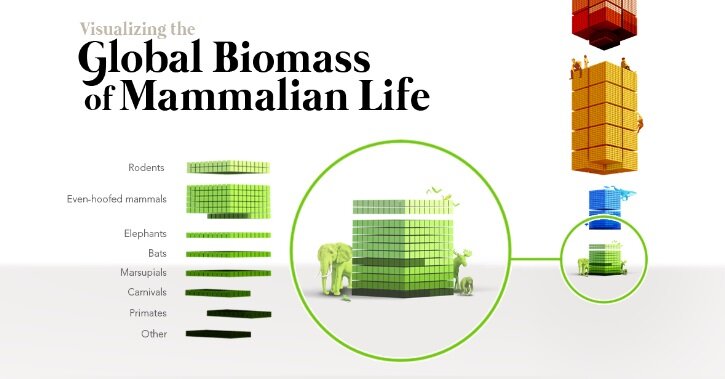 международная арена. дружат люди всей земли. флаги государств. множество языков. двух и более странах и.