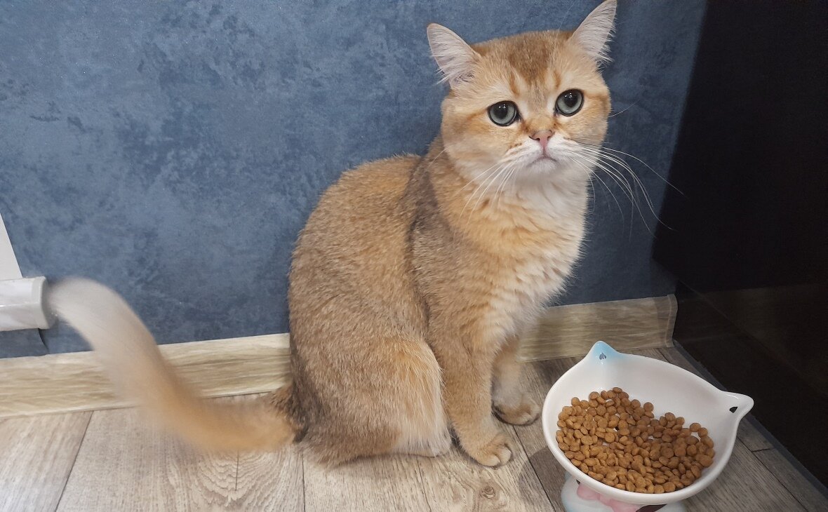 Маяковского 7 елец. Липецкая область елец улица костенко 49 моя электроника. Кузнецова галина николаевна елец детская больница. Маршрутное телевидение елец. Медкомплекс елец.