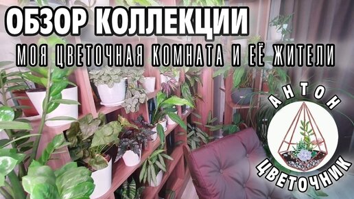 Download Video: Обзор коллекции: моя цветочная комната и её жители