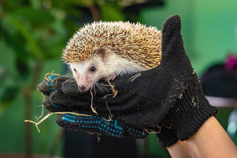 Дом в красноярске. Вакансии дома красноярск. Вакансии дома красноярск. Вакансии дома красноярск. Ваш дом красноярск логотип.