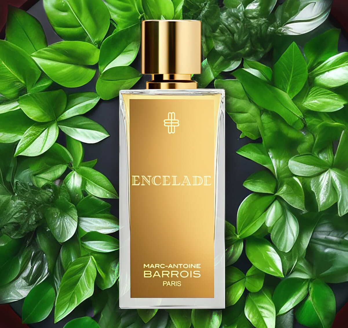 группа: фужерные, зеленые ноты: ветивер, ревень, сандал, бобы тонка, кедр
выпущен в 2022 году
парфюмер: Quentin Bisch