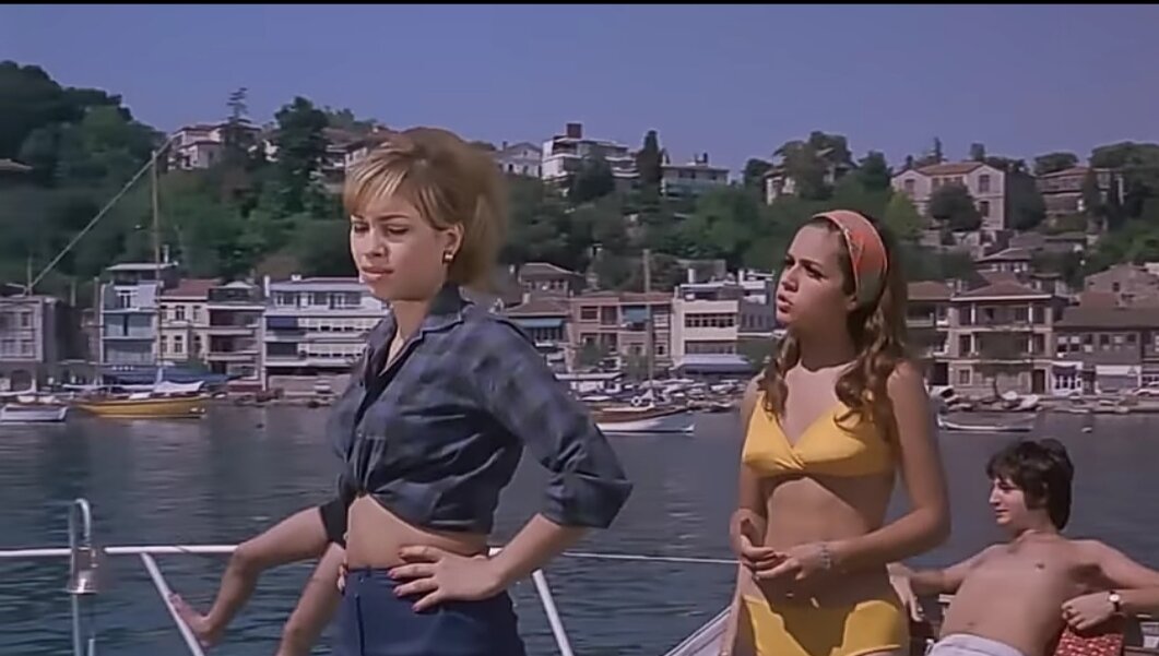 Куда поступить с обществознанием. Специальность это в обществознании. Куда поступать с литературой. Куда можно с историей. На какие специальности нужно сдавать обществознание и историю.