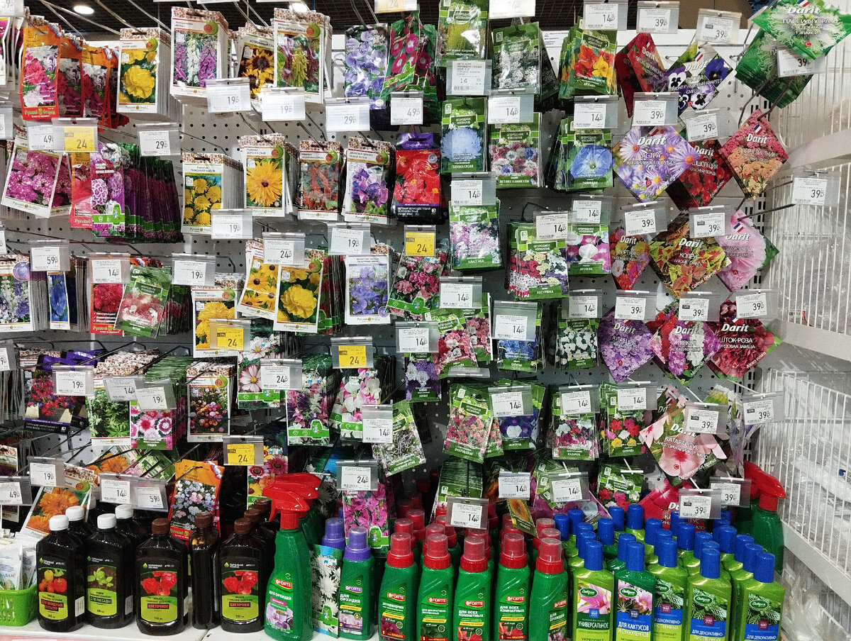 Где изображен город киев викторина что это. Презентация по окружающему миру 2 класс город и село. Где изображен город. Где изображен город. Проект город и село.