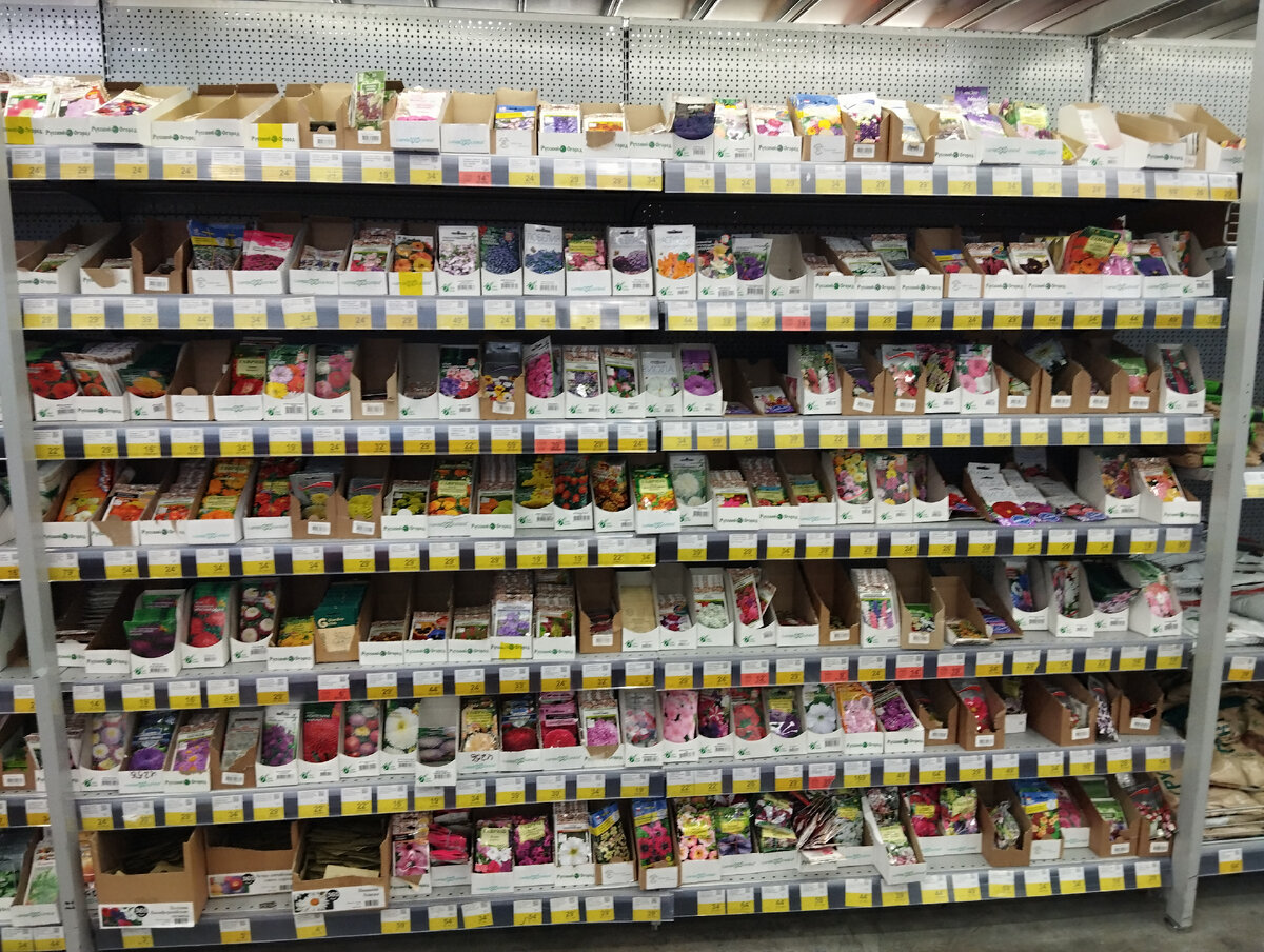 человек в большом городе. толпа людей в городе. много людей. люди идут по улице. много людей в городе.