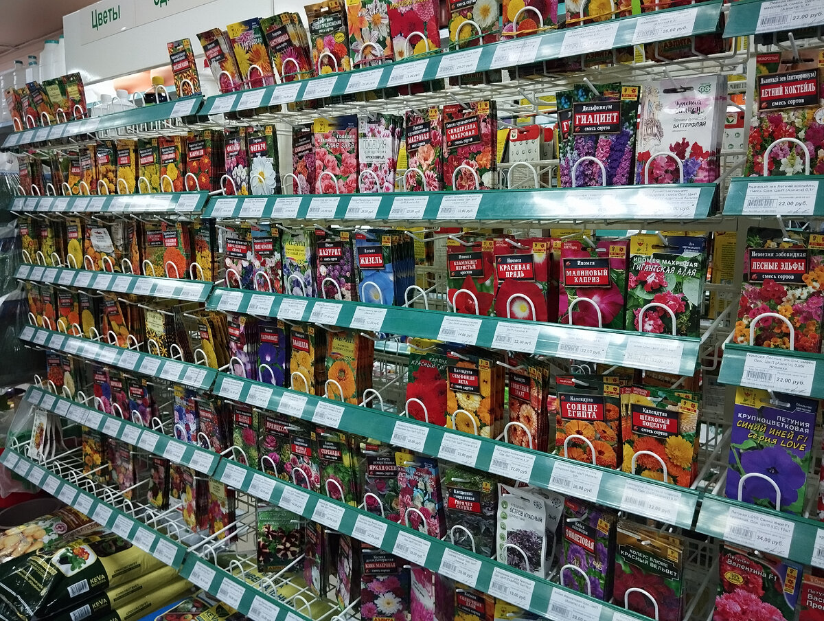 животные задания для дошкольников. кто где живёт животные. дифференциация дикие и домашние животные. дорожки лабиринты для малышей. жилище домашних животных.