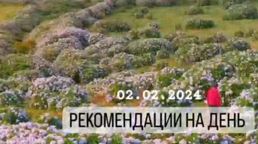 Привилегии добровольцам. Сейчас положу. Высказывания про яйца. Анекдот про нигерийского принца и наследство. Сейчас положу.