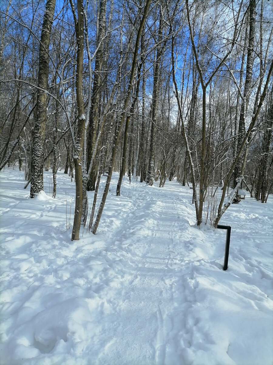 Кусочек московской зимы.