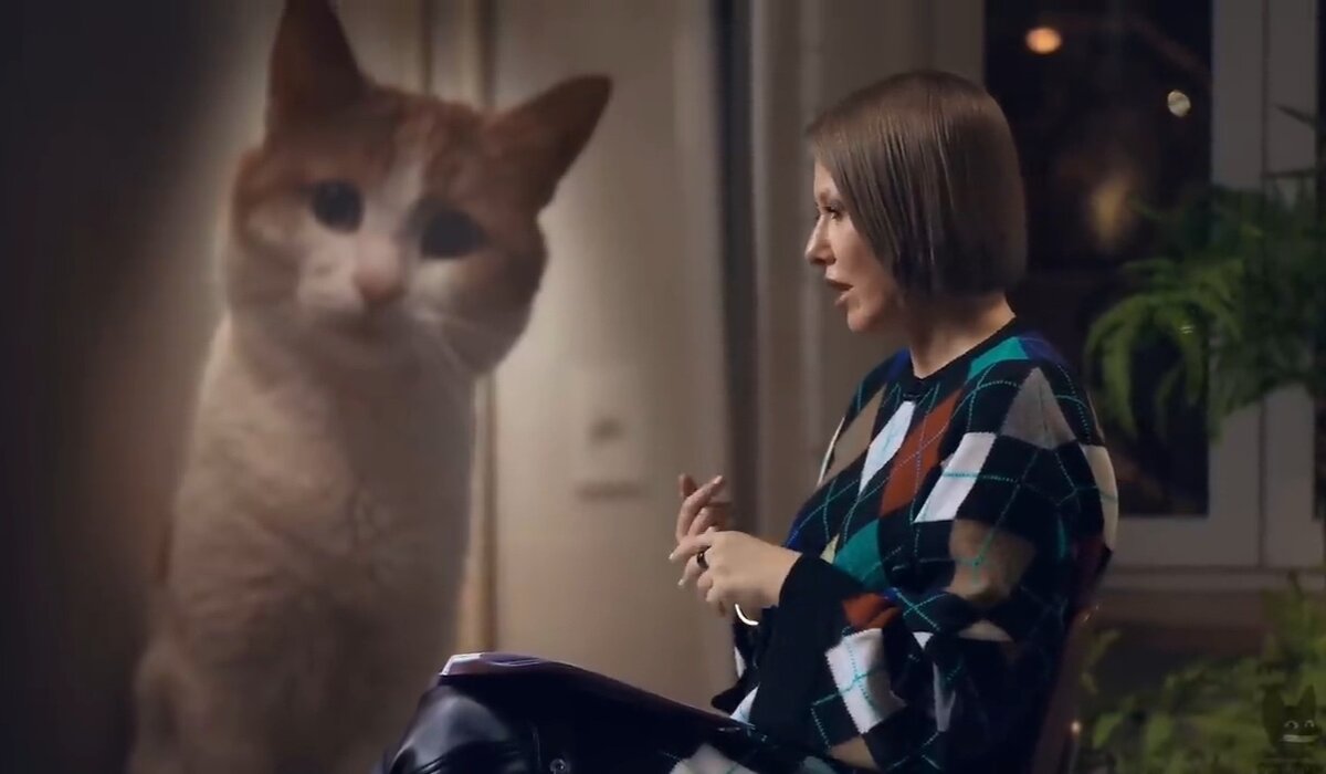 Интервью собчак видео. Интервью собчак видео. Осторожно собчак. Интервью собчак видео. Собчак интервью фото.