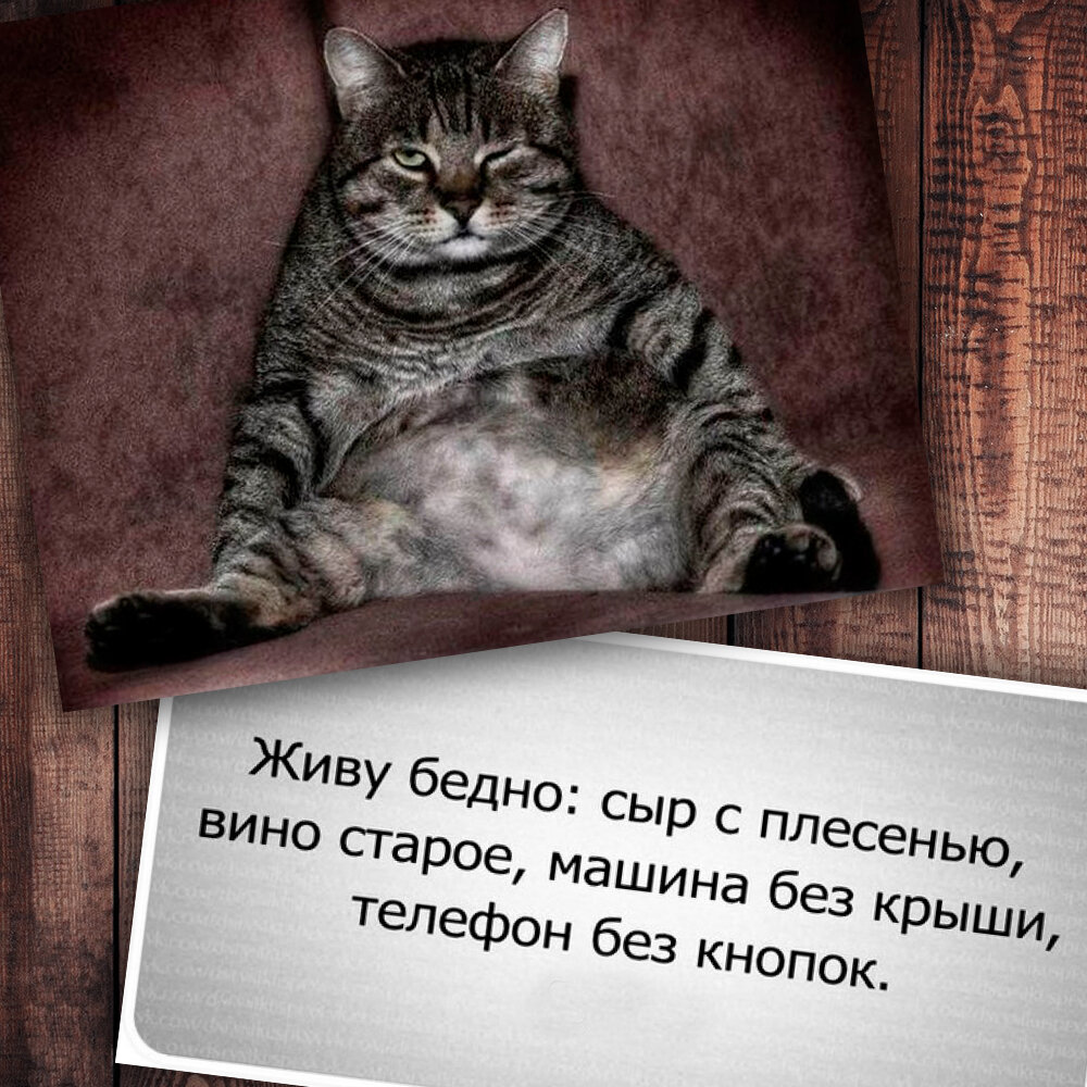 Немножко юмора =) (Фото с просторов интернета)